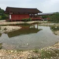 平城京左京三条二坊宮跡庭園の写真_638859