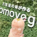momovegeの写真_641186