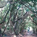 芥屋の大門公園の写真_642672