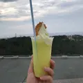 砂丘センター 見晴らしの丘の写真_645923