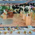 花のがっこうの写真_648050