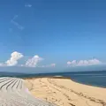 若宮海水浴場の写真_648054