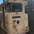 観光列車 指宿のたまて箱の写真_648196