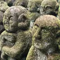 愛宕念仏寺の写真_650900