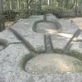 酒船石の写真_651246