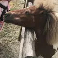 松幸農産これから村の写真_651465