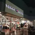 トミー ヒルフィガーの写真_653848