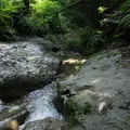 陣ケ下渓谷公園の写真_654374