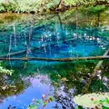 神の子池の写真_654503