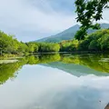 知床五湖の写真_656509