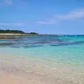 土盛海岸の写真_657228