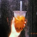 一芳 台灣水果茶 浅草店の写真_657432