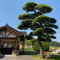 由利高原鉄道の写真_659853