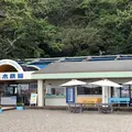 桂浜水族館の写真_659903