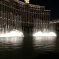 Bellagio Las Vegas（ベラージオ）の写真_660265