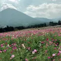 生駒高原の写真_662508