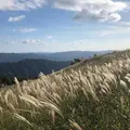 生石高原の写真_663111
