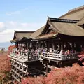 清水寺の写真_665690