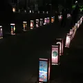 浅草神社（三社さま）の写真_666329