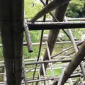 清水寺の写真_666845