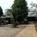 東福寺の写真_671917