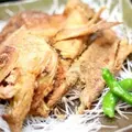 磯割烹 佳倉の写真_672221