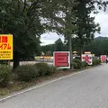 巨大迷路 パラディアムの写真_672952