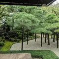 角屋もてなしの文化美術館の写真_673819