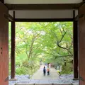 常寂光寺の写真_674933