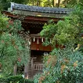 宇治上神社の写真_674946