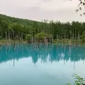 白金青い池の写真_679763