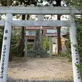 八本杉の写真_680386