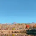 八ヶ岳自然文化園の写真_680431
