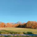 八ヶ岳中央農業実践大学校　直売所の写真_680434