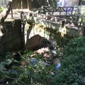 横浜自然観察の森の写真_680860