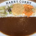 HARRY CURRY ハリーカリーの写真_681318