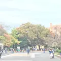 鶴舞公園の写真_682012