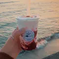 ポタティスの写真_683385
