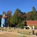ムーミンバレーパークの写真_686275
