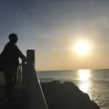 桂浜の写真_686363
