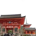 清水寺の写真_690618