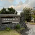 桜島溶岩なぎさ公園＆足湯の写真_692505