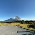 仙巌園の写真_692535