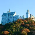太陽公園　の写真_694220