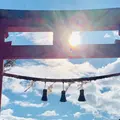 白鬚神社の写真_694601