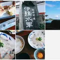 伊予水軍の写真_696432