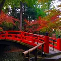 北野天満宮の写真_697808
