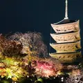 東寺（教王護国寺）の写真_697809