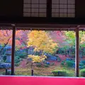 圓光寺の写真_697816