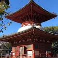 川越大師 喜多院の写真_699413